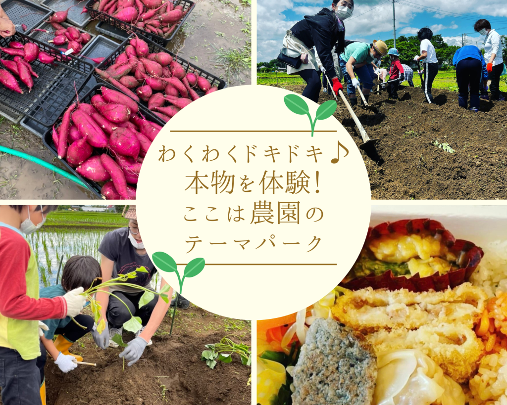 農園イベント：さつまいもの植え付け＆ヴィーガンランチ写真