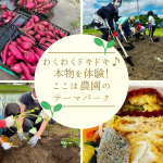 農園イベント：さつまいもの植え付け＆ヴィーガンランチ
