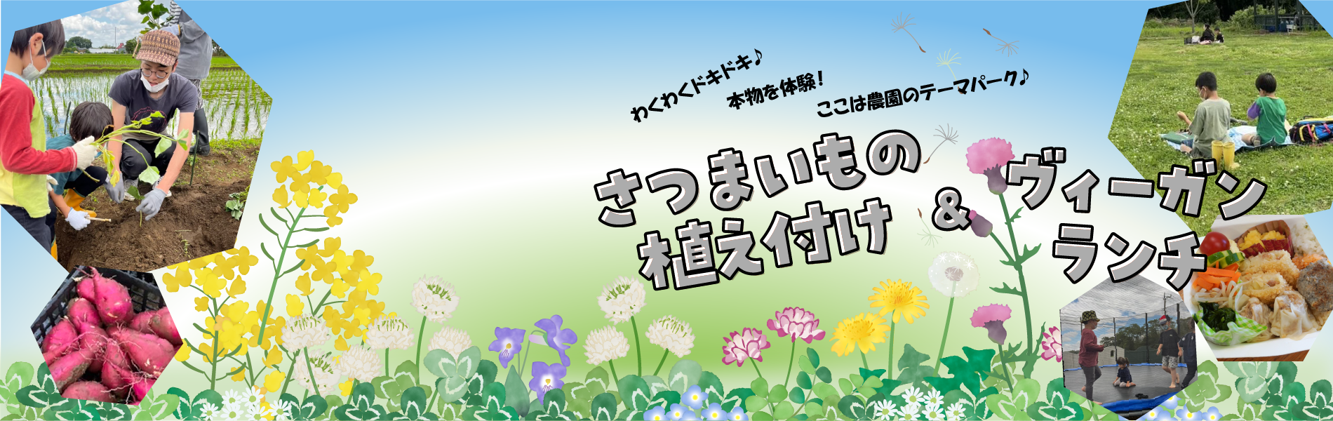 農業イベント：さつまいもの植え付け＆ヴィーガンランチ