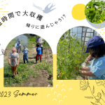 塩田ファーム　夏の大収穫祭