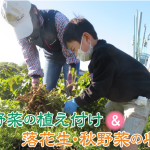 ACV農園イベント